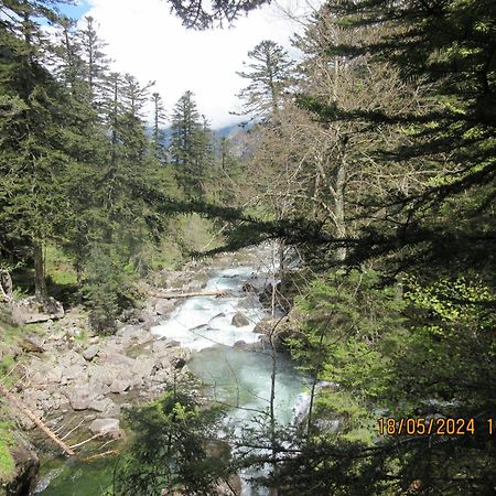 Studio Cerisema Pyrenees Zenith Люс-Сен-Совёр Экстерьер фото